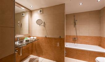 2 letti singoli, camere non fumatori, divano letto, minibar, stira pantaloni, collegamento wi-fi, bollitore per tè e caffè, colazione completa