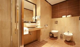 1 letto matrimoniale, aria condizionata, doccia, asciugacapelli, televisione via cavo, televisore lcd a schermo piatto, minibar, colazione completa