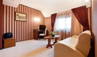 suite -1 letto king size, suite junior, aria condizionata, doccia, televisione via cavo, televisore lcd a schermo piatto, minibar, colazione completa