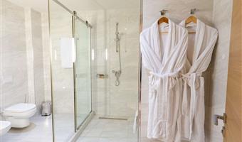 1 letto matrimoniale king size, camere non fumatori, camera deluxe, bathtub, collegamento wi-fi, finestre insonorizzate, bollitore per tè e caffè, colazione completa