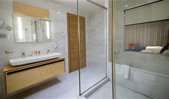 1 letto matrimoniale, camere non fumatori, camera deluxe, divano letto, bathtub, finestre insonorizzate, collegamento wi-fi, colazione completa