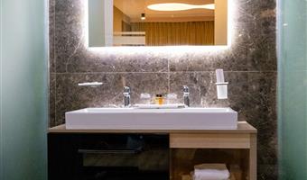 suite -1 letto king size, camere non fumatori, camera deluxe, idromassaggio jacuzzi, trasferimento gratuito in città, collegamento wi-fi, bollitore per tè e caffè, colazione completa