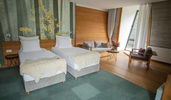 2 letti singoli, camere non fumatori, cassaforte, minibar, collegamento wi-fi, aria condizionata, asciugacapelli, colazione completa