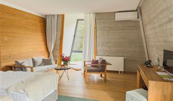 2 letti singoli, camere non fumatori, cassaforte, minibar, collegamento wi-fi, aria condizionata, asciugacapelli, colazione completa