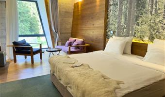 1 letto matrimoniale queen size, camere non fumatori, cassaforte, minibar, collegamento wi-fi, aria condizionata, asciugacapelli, colazione completa