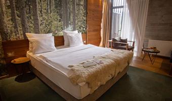 1 letto matrimoniale queen size, camere non fumatori, cassaforte, minibar, collegamento wi-fi, aria condizionata, asciugacapelli, colazione completa