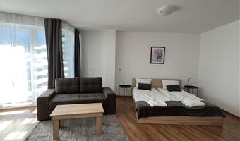 1 letto matrimoniale queen size, camere non fumatori, monolocale, divano letto, balcone, angolo cottura, collegamento wi-fi, colazione completa