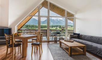 1 letto matrimoniale queen size, camere non fumatori, monolocale, divano letto, balcone, angolo cottura, collegamento wi-fi, colazione completa