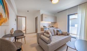 appartamento - 1 letto singolo, camere non fumatori, divano letto, balcone, angolo cottura, collegamento wi-fi, bollitore per tè e caffè