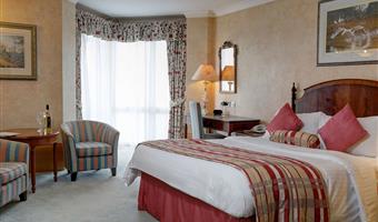 1 letto matrimoniale, camera non fumatori, pavilion, camera executive