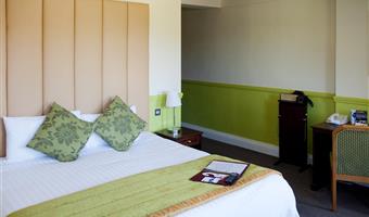 1 letto matrimoniale, camera stile classico, camere non fumatori