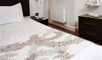 1 letto singolo, camere non fumatori, camera standard