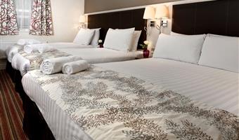 1 letto matrimoniale, 2 letti singoli, camere non fumatori, camera standard