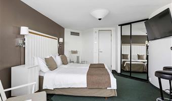 suite -1 letto king size, camere non fumatori, doccia, accesso a internet gratuito, ultimo piano, colazione completa