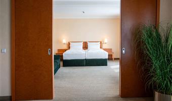 suite -1 letto matrimoniale, two sofabeds, televisore a schermo piatto, soggiorno separato, box doccia con getti a pioggia, aria condizionata, bollitore per tè e caffè