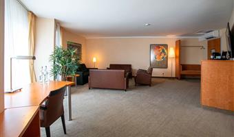 suite -1 letto matrimoniale, two sofabeds, televisore a schermo piatto, soggiorno separato, box doccia con getti a pioggia, aria condizionata, bollitore per tè e caffè