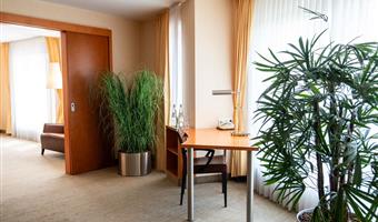 suite -1 letto matrimoniale, two sofabeds, televisore a schermo piatto, soggiorno separato, box doccia con getti a pioggia, aria condizionata, bollitore per tè e caffè