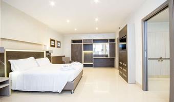 suite -1 letto queen size, camere non fumatori, divano letto, sala