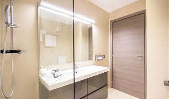 suite -1 letto queen size, camere non fumatori, divano letto, sala