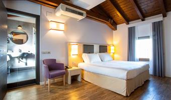 1 letto matrimoniale king size, camere non fumatori, camera comfort