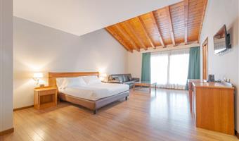 1 letto matrimoniale queen size, camere non fumatori, suite junior, divano letto, balcone, parcheggio in garage gratuito, accesso gratuito al centro benessere