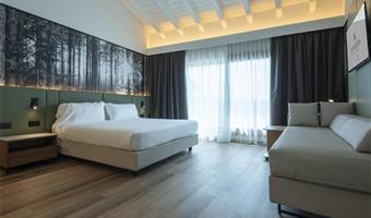 1 letto queen size e 1 letto singolo, camere non fumatori, camera superior, balcone, vista sul lago, parcheggio in garage gratuito, accesso gratuito al centro benessere