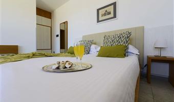1 letto matrimoniale queen size, camere non fumatori, camera standard, convertibile in due letti gemelli