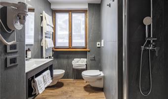 1 letto queen size, 2 letti singoli, camere non fumatori, camera per famiglie, due camere da letto, vista sulla montagna, solo doccia