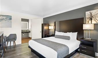 Camera del Best Western Park Crest Inn - Monterey - 05067