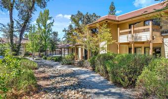 Camera del Best Western Plus Sonora Oaks Hotel & Conference Center - Sonora - 05408