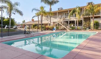 Piscina del Best Western Plus Hill House - Bakersfield - 05593