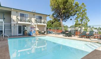 Piscina del Best Western Cedar Inn & Suites - Angels Camp - 05599