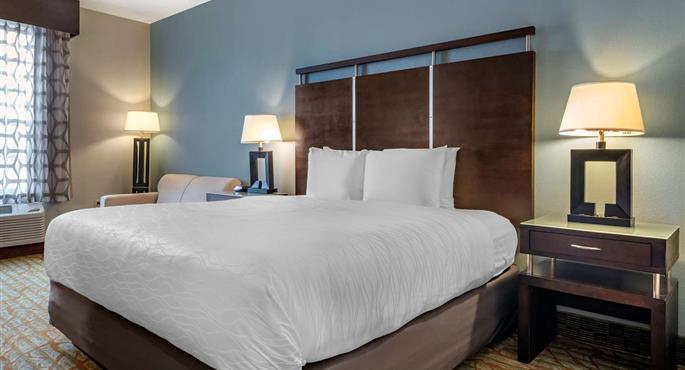 Camera del Best Western Plus Bradenton Gateway Hotel - Bradenton - 10365