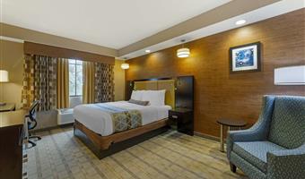 Camera del Best Western Plus Miami Executive Airport Hotel & Suites - Miami - 10398