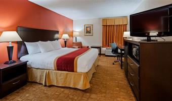 Camera del Best Western Hiram Inn & Suites - Hiram - 11209