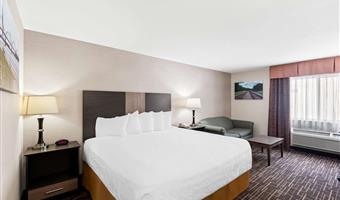 Camera del Best Western Airport Inn - Moline - 14129