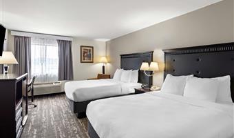 Camera del Best Western Saluki Inn - Carbondale - 14191