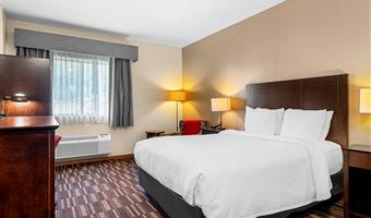 Camera del Best Western University Inn - Urbana - 14220