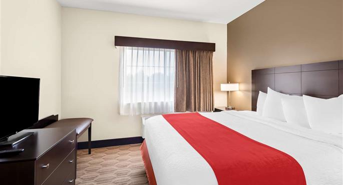 Camera del Best Western Palmyra Inn & Suites - Palmyra - 33175
