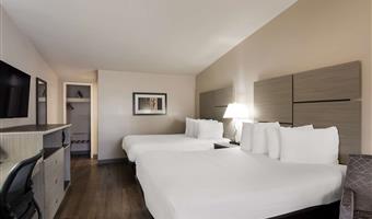 Camera del Best Western New Oregon - Eugene - 38013