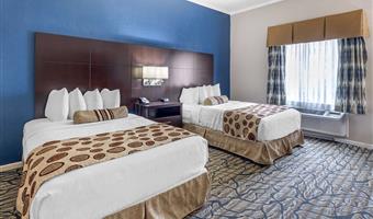 Camera del Best Western Spring Hill Inn & Suites - Spring Hill - 43164