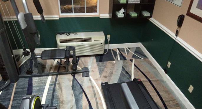 Servizi del SureStay by Best Western Brunswick - Brunswick - 55138