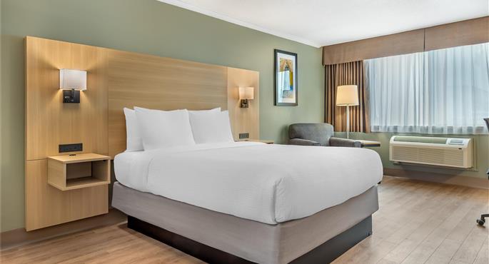 Camera del Best Western Plus Ottawa City Centre - Ottawa - 66023