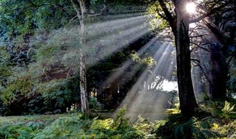 Esterni del Best Western Chilworth Manor Hotel - Southampton - 83920