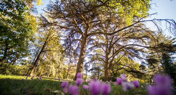 Esterni del Best Western Premier Le Domaine de Montjoie - Ramonville-Saint-Agne - 93846
