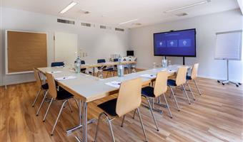 Sale meeting del Best Western Wein-und Parkhotel Nierstein - Nierstein - 95308