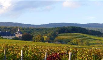 Best Western Hotel Wiesbaden - Wiesbaden - 95513