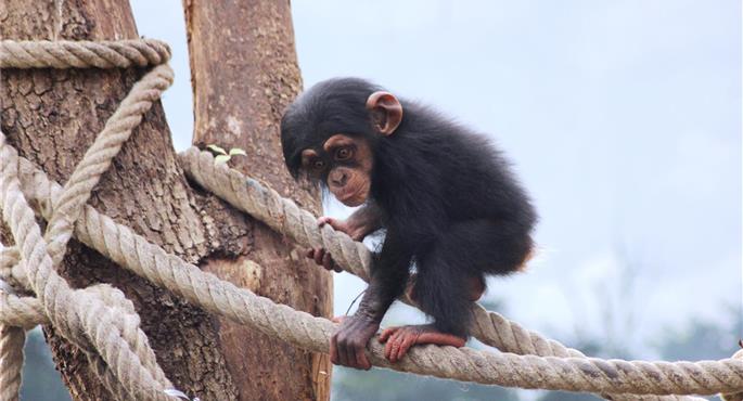 Best Western Hotel Hohenzollern - Osnabrueck - 95525