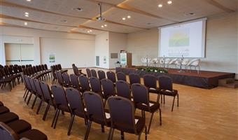 Sale meeting del Best Western Plus Leone di Messapia Hotel & Conference - Lecce - 98346
